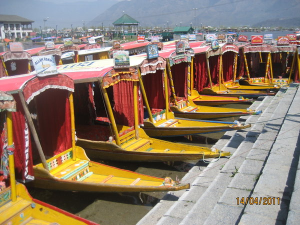 Shikara Boats