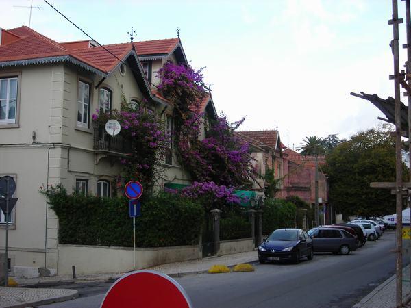 House in Sintra