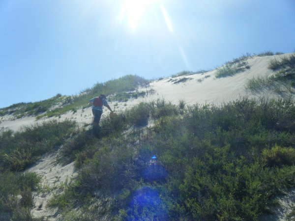 Up the sand dunes we go