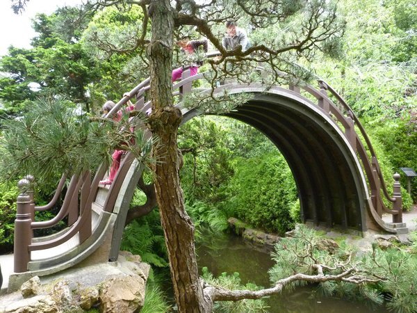 Japanese Tea Garden - Crazy Bridge
