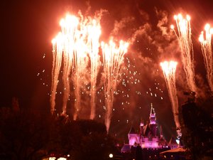 Disneyland! Fireworks
