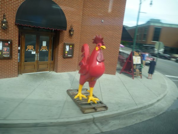 Big Red Cock