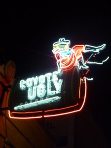 Coyote Ugly, Memphis