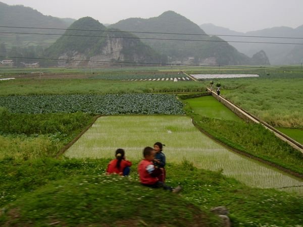 'chit chat' by the rice field