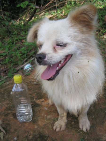 Yako, with his very own bottle of water!