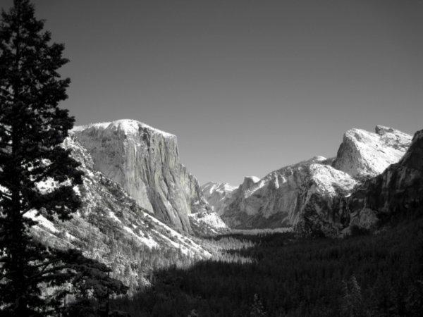 The one and only Yosemite valley!