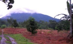 View of one of the volcano