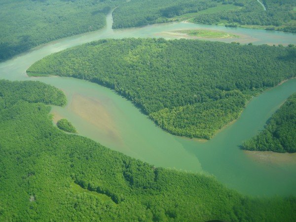 Flying over Osa Peninsula mangroves