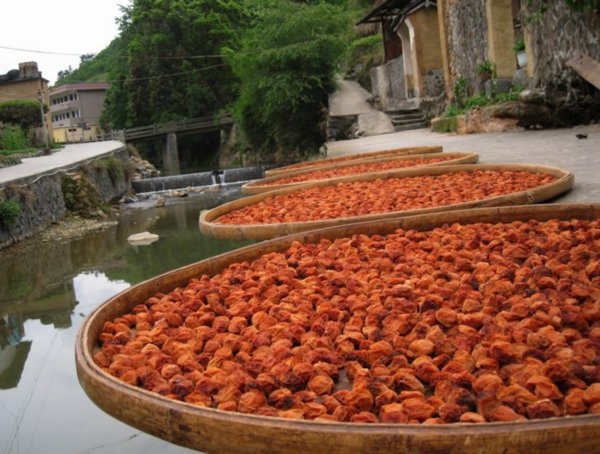 Local fruits drying up