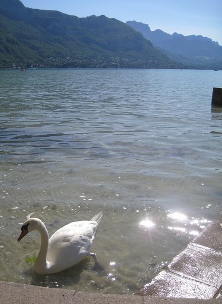 Annecy - Lake