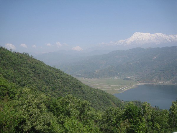 Pokhara's dense forest and still THE view...