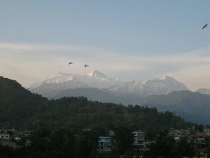 Such a clear view of the Annapurna...