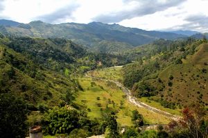 Valle de Cocora, Salento, Colombia