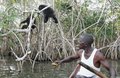 Balancing exercice: cigarette, banana & hungry chimpanzees....