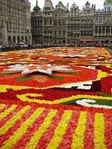 Tapis de Fleurs in the Grand'Place, Brussels