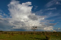 The dramatic shape of cloud and the open wildness in Tarangire National Park