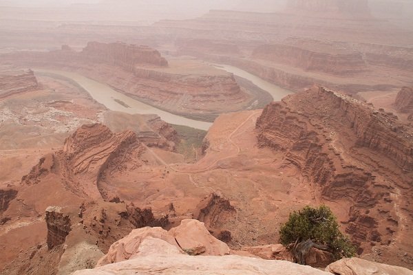 The Colorado from Dead horse point
