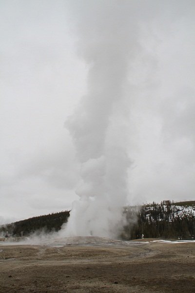 Old faithful geyser