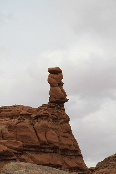 Goblin Valley - dog with book on nose