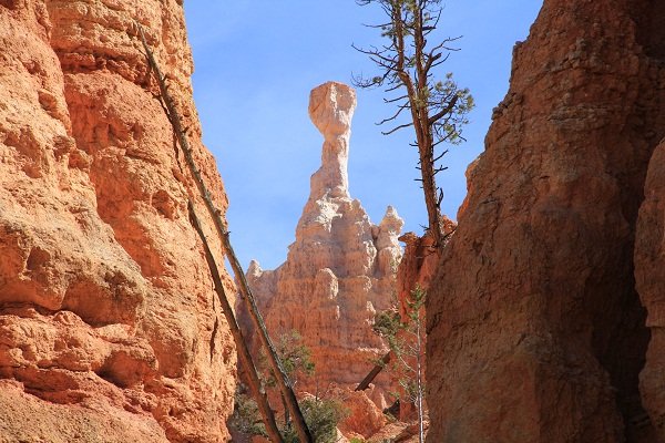 Bryce Canyon - ET