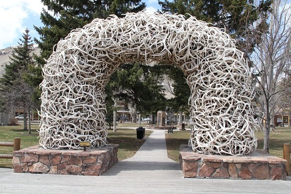 Jackson, Wyoming - elkhorns for Africa