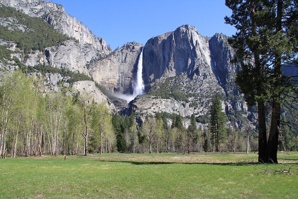 Yosemite falls from the valley