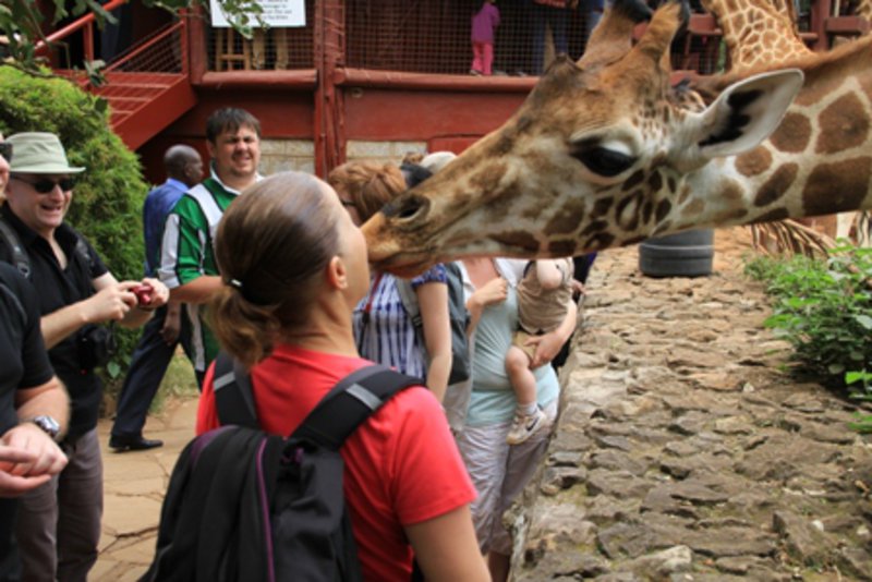 Steph gets cosy with a giraffe