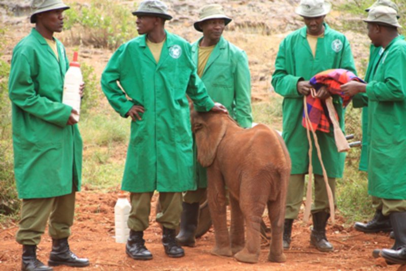 The Elephant keepers, Sheldrick Centre