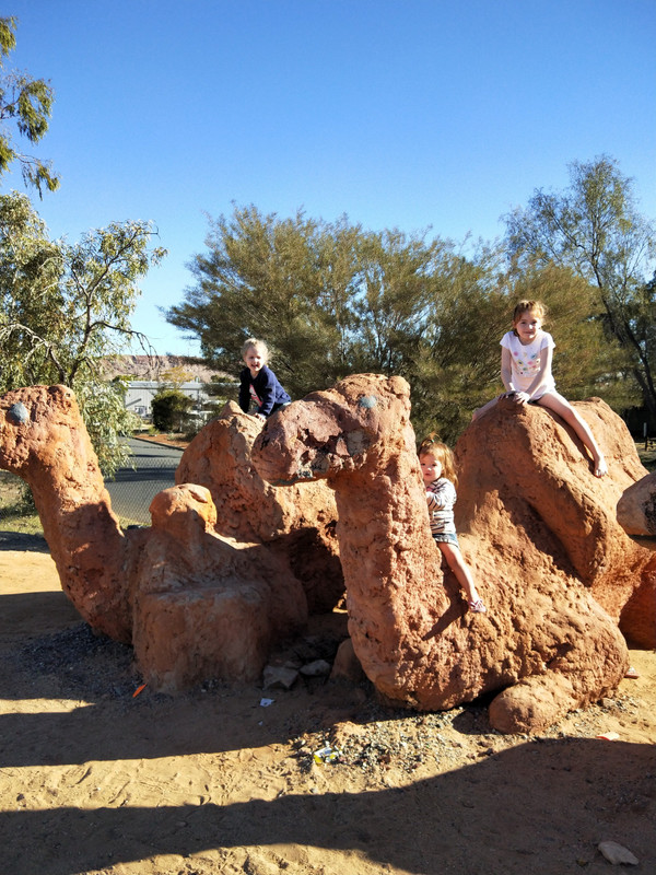Camels in Alice Springs 