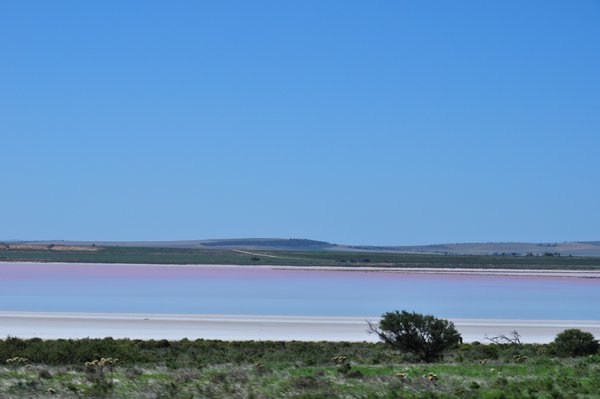 Lake at Lochiel