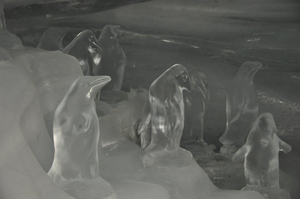 Ice Palace Penguins