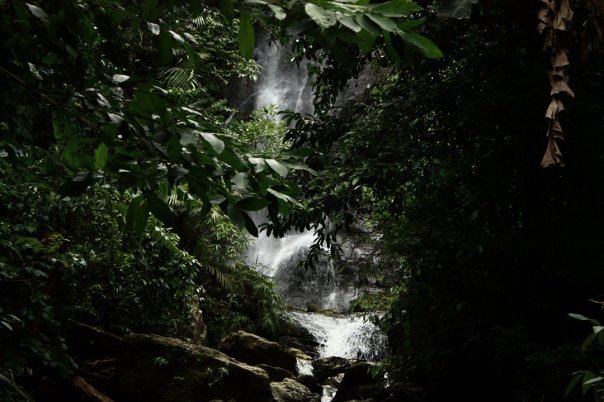 Chingri Waterfall - Hidden by the Vegitation