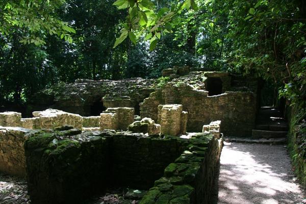 Authentic Mayan Ruins