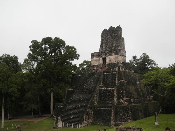 More Tikal....