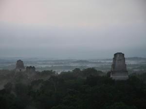 Tikal, from pyramid IV at "sunrise"