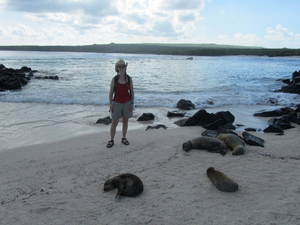 Anne and Sea Lions on the Beach