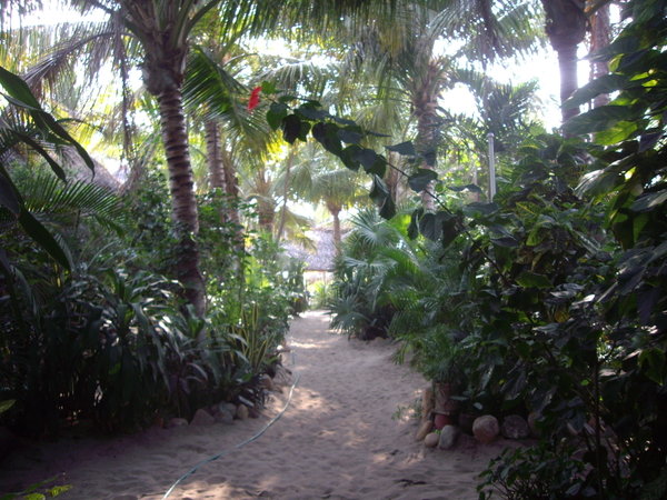 Puerto Escondido - the hostel