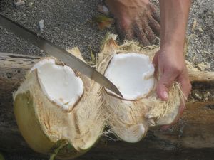 Coconuts & Almonds Costa Rica 043