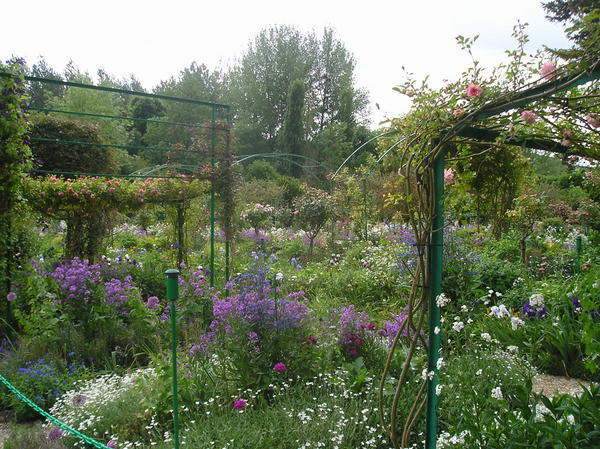 More Monet Gardens