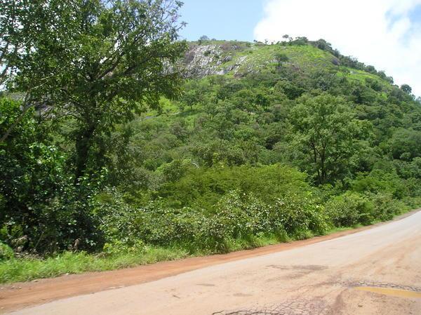 Upper Guinea