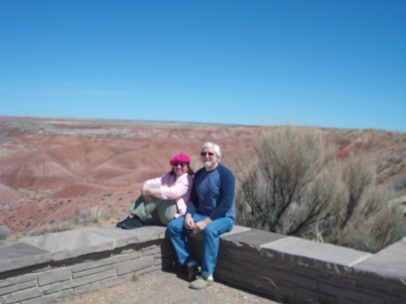 The Painted Desert and Petrified Forest