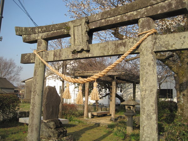 Torii