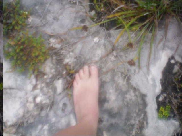 Hannah's Bare Feet