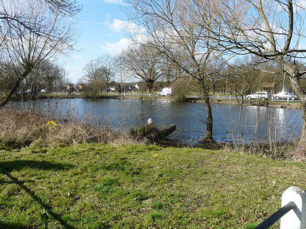 Ashtead pond