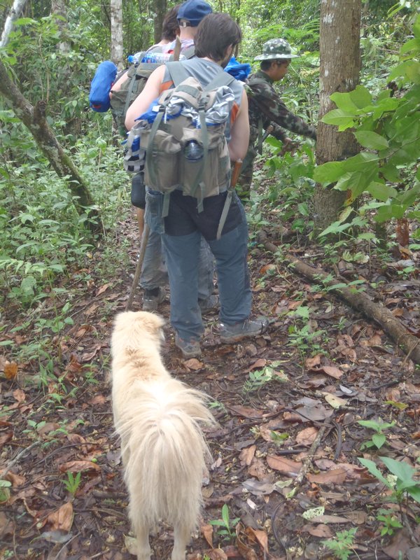trekking with Lloyd