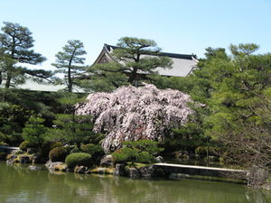 Heian-Jingu Shrine Garden