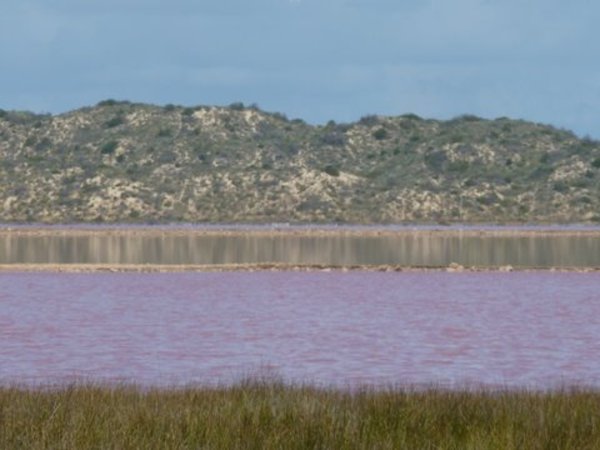 Pink Lake near Geraldton
