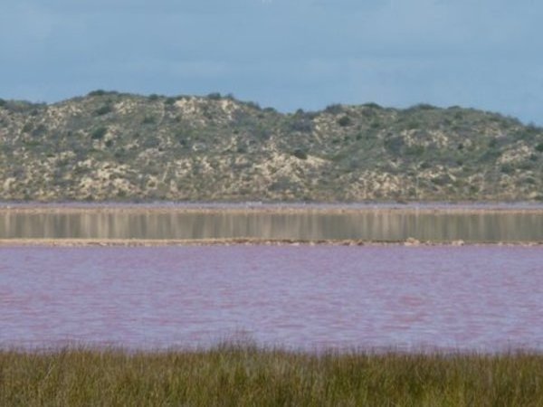 Pink Lake near Geraldton