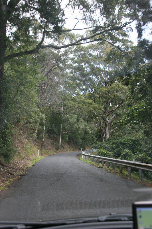 Scenes from the drive thru Kangaroo Valley