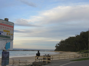 Mollymook